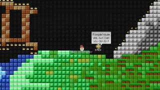 Everybody Edits My New World