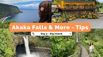 Day 5 Big Island Hawaii Akaka State Park | Hilo | Waipio