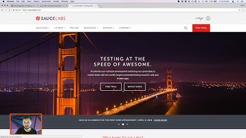 WebdriverIO Workshop - The Basics