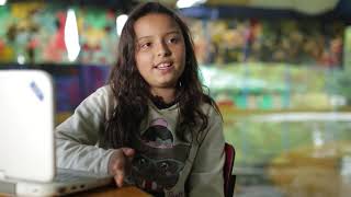 Personalização do ensino   Projeto Âncora trabalha autonomia e individualidade