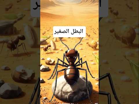 أجمل قصة قصيرة من القرآن الكريم Explore Trending Viral Shorts History