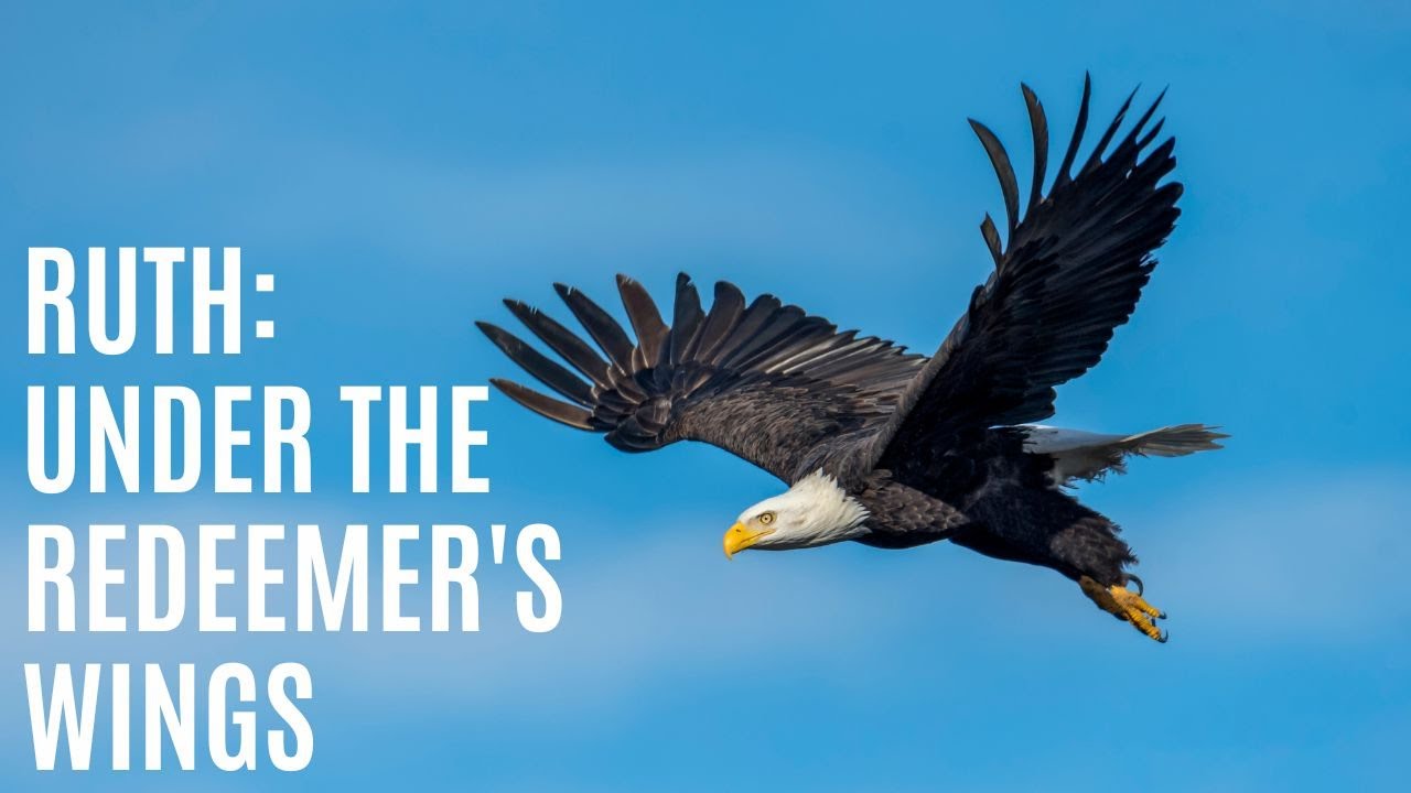 St Peters IPC 17/07/23 (Ruth 2)