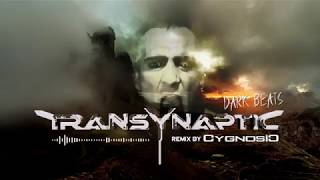 Dark Beats - CygnosiC Remix