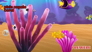 pixie copula coral || fish paradise by winston cbb 179 views 2 months ago 2 hours, 2 minutes