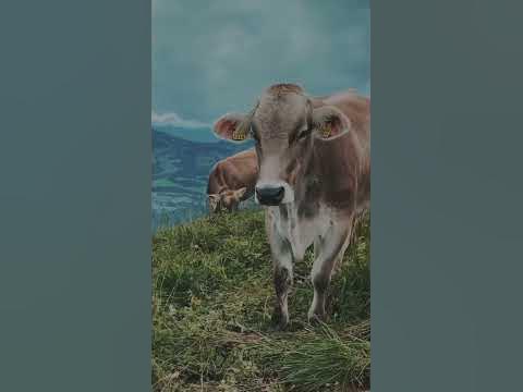 Открытка из путешествия - YouTube