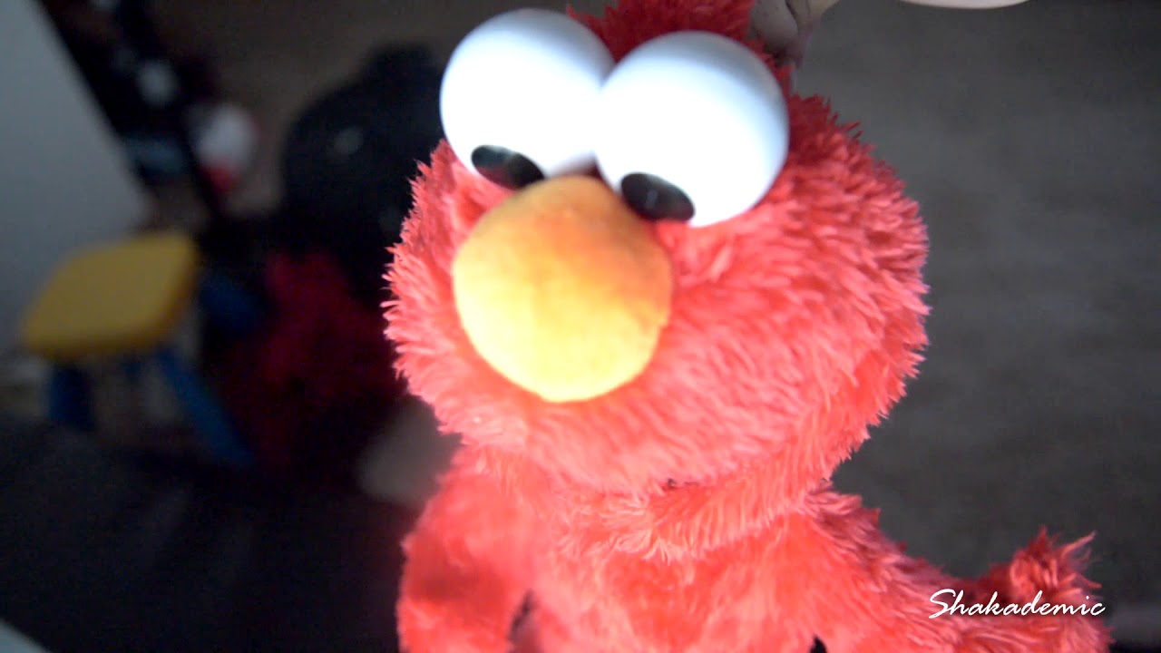 Elmo's Real Life Adventures YouTube