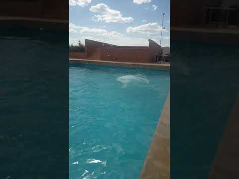 السباحة في مسبح فندق موحى ا حمو الزياني 