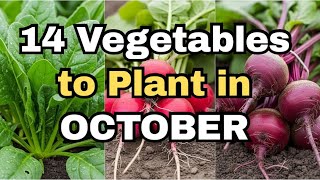 Download Lagu 14 Crops to Direct Sow in October, Wherever You Live! MP3