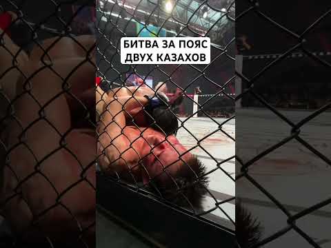 Битва за пояс #ufc #файтинг #nfc #mma #мма #бокс #бокс #sports #юфс #казах #номад #чемпион #октагон