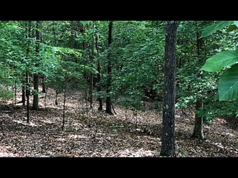 2682 Cassels Road, Chester, SC home video tour