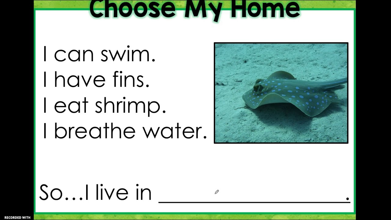 Habitats Slideshow YouTube