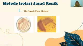 APA ITU ISOLASI JASAD RENIK