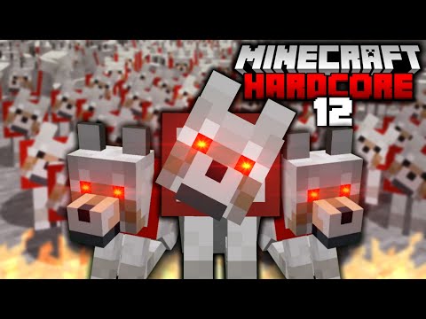 Creating An Army Of Dogs In Hardcore Minecraft 12 犬チャンネル