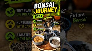How To Tiny Tree, Big Dreams 🌱 | Future Bonsai Journey #plants #shorts #gachbagan #garden #bonsai