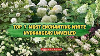 TOP 7 Most Enchanting White Hydrangeas Unveiled 🌱👍 // Gardening Ideas