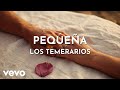 Los Temerarios - Pequeña (Visualiser)