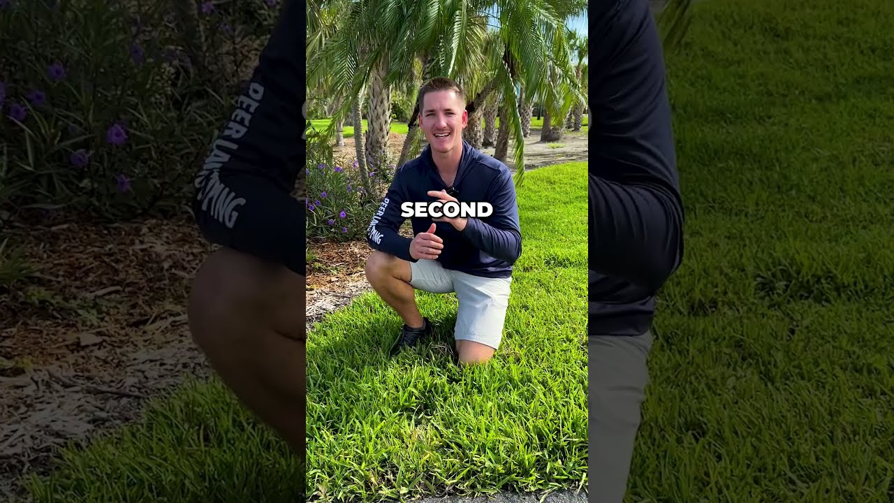 How To Mow Lawn Correctly 