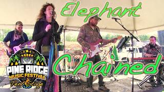 The Band Elephant Drops Powerful Original "Chained" LIVE at Pine Ridge Music Festival 🔥 Raw Energy