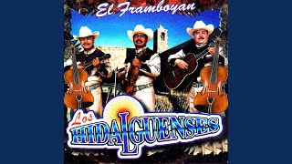 Video thumbnail of "Los Hidalguenses - El Framboyan"