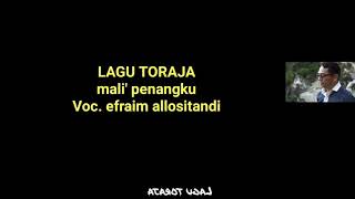 Lirik lagu Toraja | Mali' penangku | Efraim allositandi | Meoliko Official