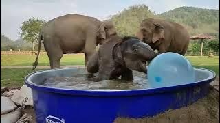 Pyi Mai is playing the water- EleFlix