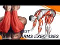 Best Arms Workout at Home Without Equipment 💪🔥