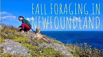 Homestead Skillset Building | Fall Foraging | Someday Series Episode 5