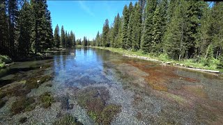 Fly Fishing within an ancient volcano, Idaho's Henry's Fork of the Snake River - Day 2