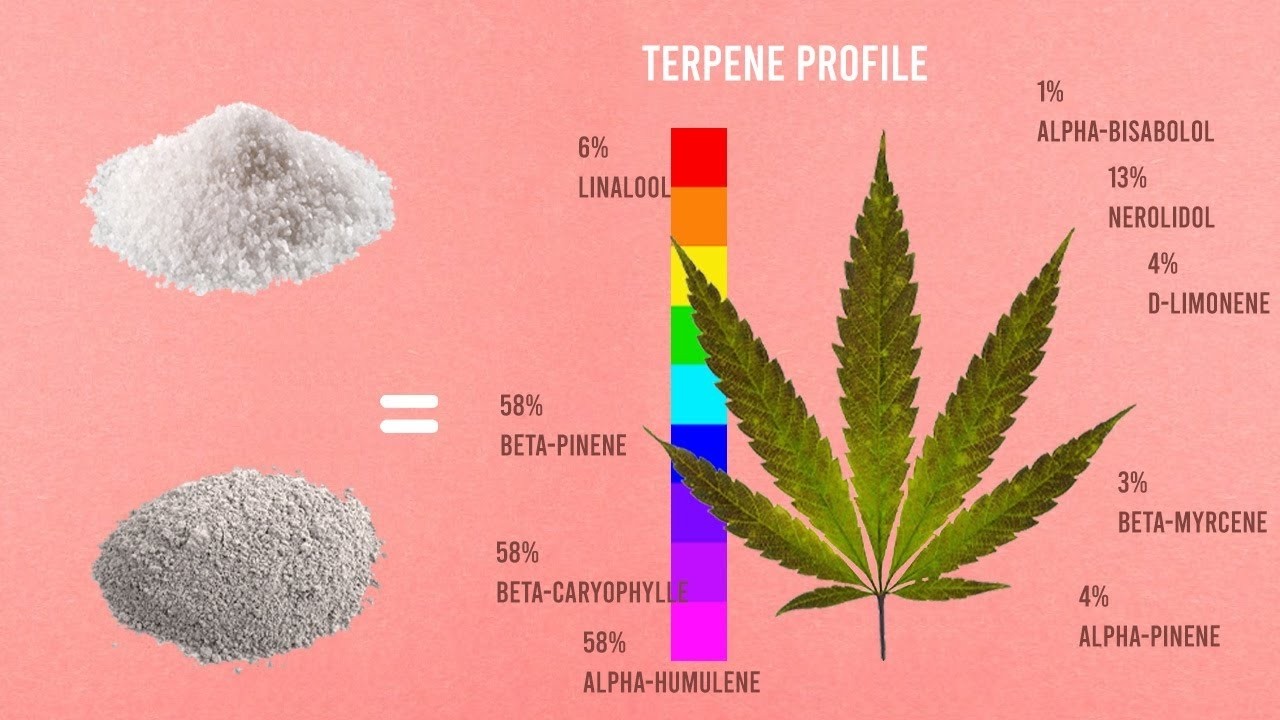 Terpenes - Increase Your Plant's Profile!