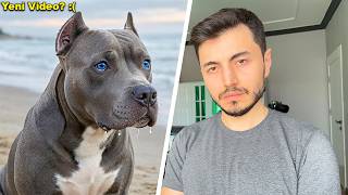 KONUŞMAMIZ GEREKEN KONULAR VAR - Vlog