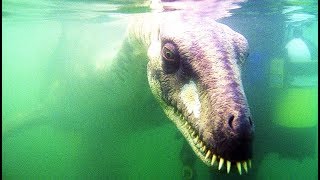 Loch Ness Monster Experts Have Revealed The Truth About The Creature