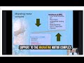 How to prevent SIBO from reoccurring