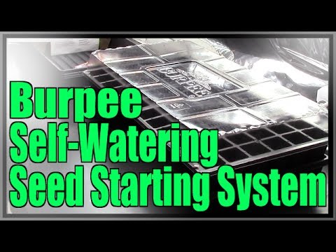 Burpee Self Watering Seed Starting System Youtube Burpee Self Watering Seed Starting System Youtube
