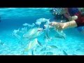 Redang Island Malaysia - 2015 Snorkeling