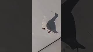 Change Your Mind amazing Thinkingfunny keepwatching mgrblood