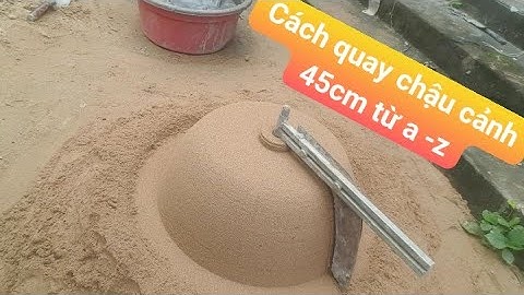 Cách quay chậu cảnh từ a-z  cho người  mới bắt đầu