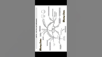 Mindmap Class 9 Ch 1 Science #shorts #science #class9 #cbse #ncert #mindmaps