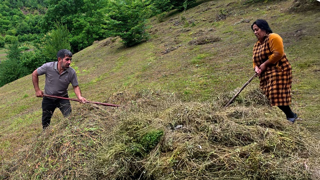Мы пошли в остальную часть горы 1200 метров, мы собрали нас травы - Губа Влог