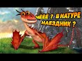 Dragons: Rise of Berk #59 ПЕРЕШЁЛ В ДРАКОНЬИ НАЕЗДНИКИ 😎