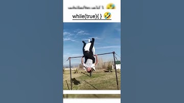 🔄 While Loops in Real Life: Unveiling Everyday Applications! 💡✨||#shorts #short #coding #fyp #ai #js