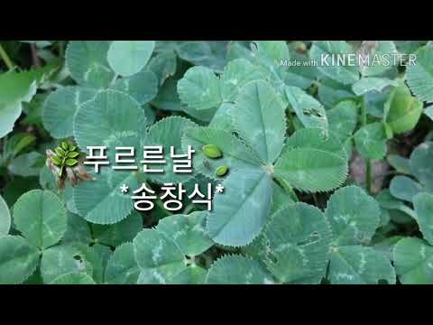 푸르른날 *송창식*