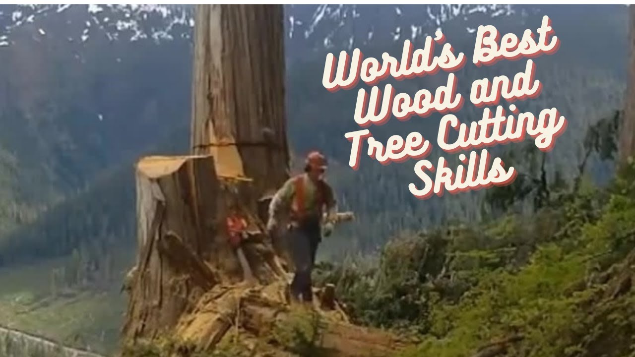 World's Best Wood and Tree Cutting Skills | Fastest Forest Working Man ...