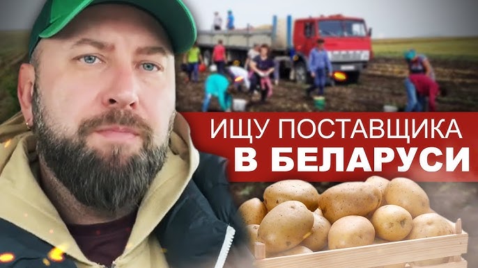Ищите поставщиков картофеля в Беларуси для успешного старта бизнеса. Без вложений. Бизнес идеи.