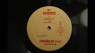 Common - 1&#39;2 many (album version) 💎 Ortofon 2M Red