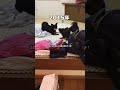 老犬チワワの10年前の親子喧嘩が泣けた...