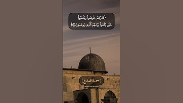 سورة المعارج الآية ٤١ الى ٤٤ بصوت الشيخ محمد صديق المنشاوي