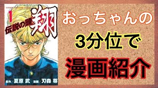 【おっちゃんのマンガ紹介】『伝説の頭 翔』2003年から2005年まで「週刊少年マガジン」（講談社）に連載されていた原作・夏原武、作画・刃森尊の漫画作品。全11巻。