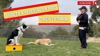 Send to a Pedestal or Mat: Dog Trick Tutorial  DMWYD