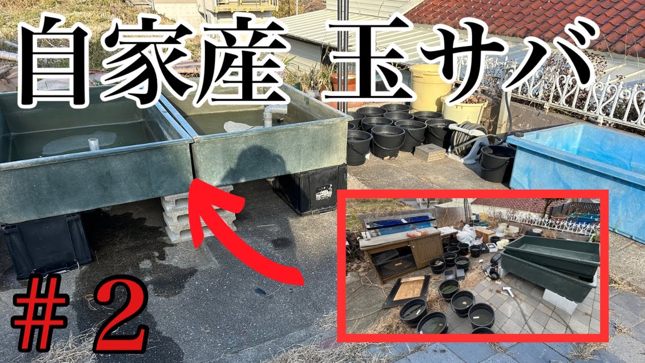 #2. 玉サバ自家産計画. 設備環境編！【玉煩】 