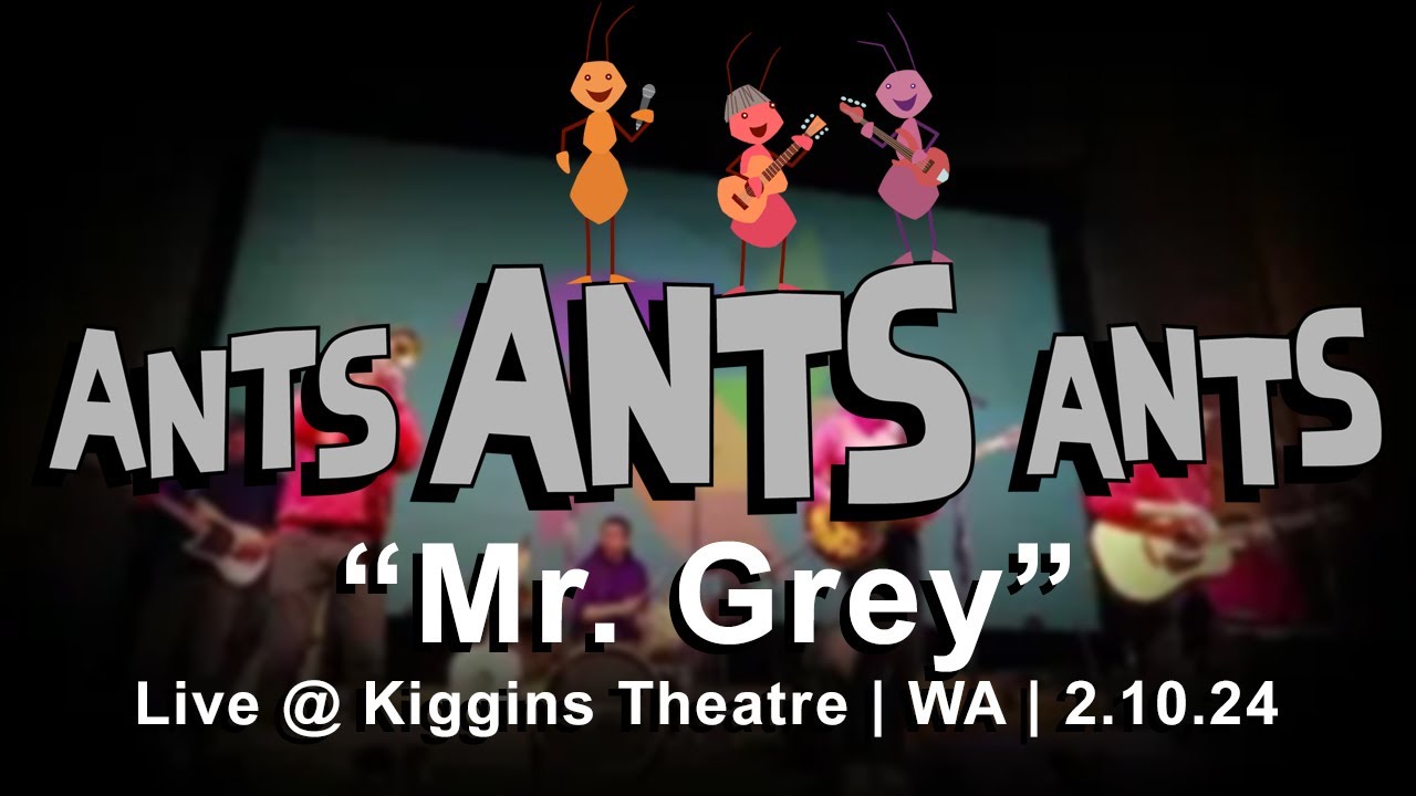 ANTS ANTS ANTS  |  Mr. Grey (Live at Kiggins Theatre)